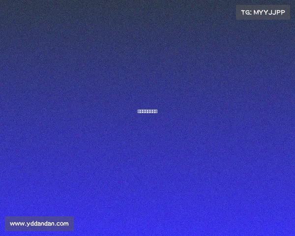 速度赛马标准出台